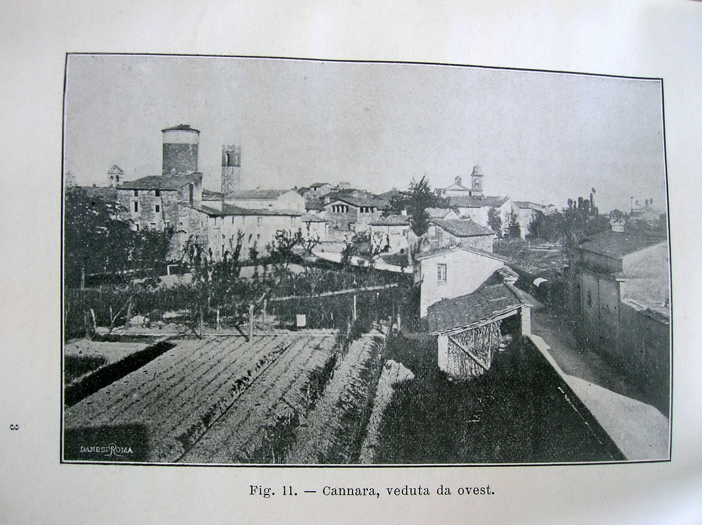 Cannara — Veduta da ovest (Danesi, Roma)