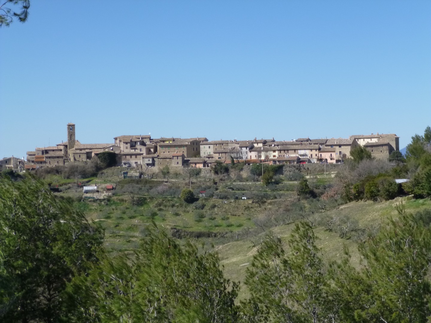 Cannara — Veduta del borgo